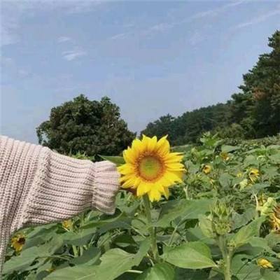 全民暴走勇者游戏